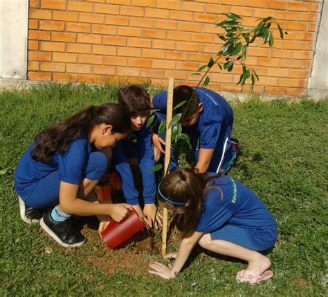 Mais de 11 mil árvores já foram plantadas Secretaria de Meio Ambiente