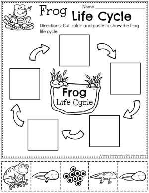 Frog Worksheet Kindergarten ~ Math Worksheets Grade 3