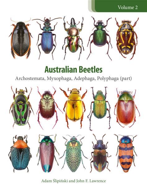 Australian Beetles