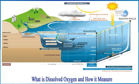 What Is Dissolved Oxygen And How It Measure