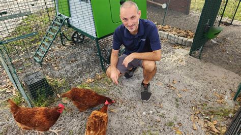 Jeremy Gary’s guide to chicken moulting - Omlet Blog Australia