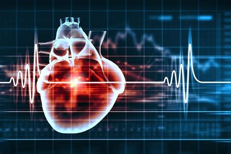 Heart Of The Matter 7 Things To Know About Your Ticker Live Science