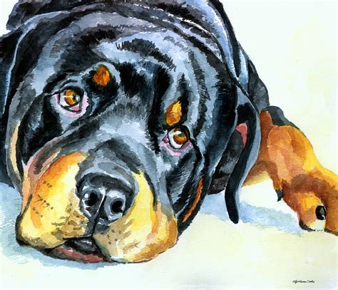 Rottweiler Art