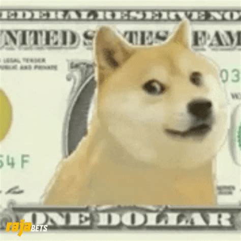 Doge GIFs | GIFDB.com