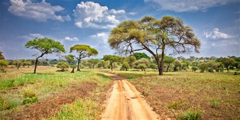 3 Days—masai Mara Dreamland