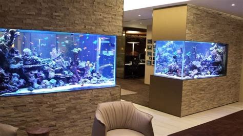 Why You Should Consider a Wall Fish Tank