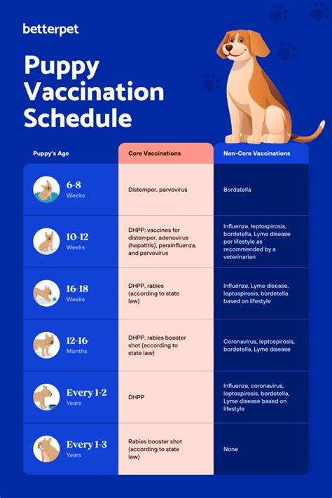 A puppy vaccine schedule: What does my puppy need?