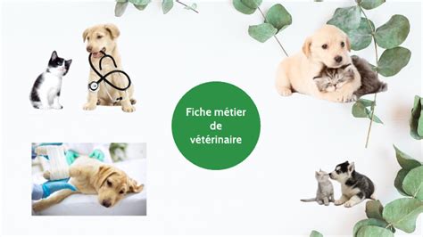 Fiche M Tier V T Rinaire By Aleksandre Herent On Prezi