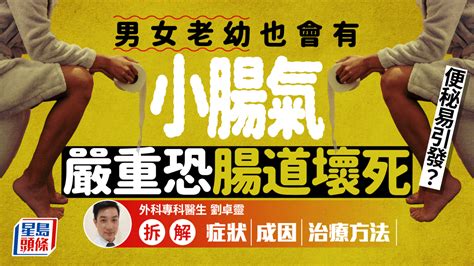 小腸氣｜便秘易引發患疝氣？嚴重恐腸道壞死 醫生拆解症狀成因治療方法