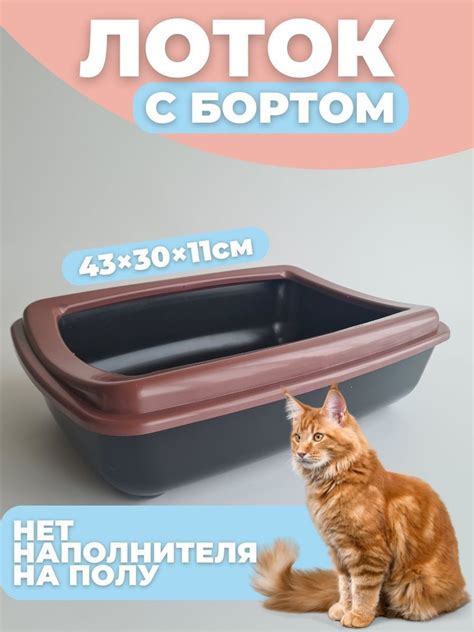 Лоток для кошек с высоким бортом, коричневый, 43x30x12 см - купить с ...
