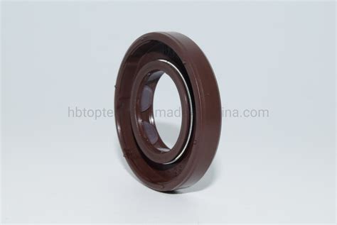 High Pressure Oil Seals With 19 35 6 Mm Oil Seals With FKM FPM Material