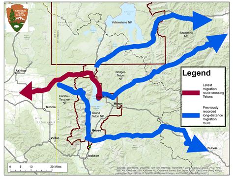 Biologists Document New Mule Deer Migration Route over Teton Range ...