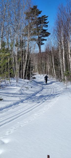 Photo Album Trail Report Bally Creek Trails