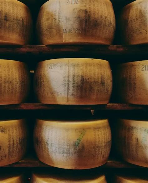 Ciaolatte Parmigiano Reggiano Biologico