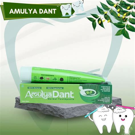 Herbal Ayurvedic 100 Gms Amulya Dant Toothpaste For Oral Care At Rs 110