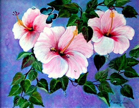 Pink Hibiscus Painting By Fram Cama Fine Art America