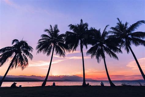 Visit Port Douglas Daintree Tropical North Queensland