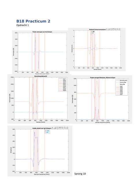 B Practicum Verslag B Practicum Opdracht Sprong Sample