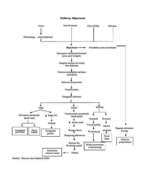Pdf Pathway Hipertensi Compress Pdf