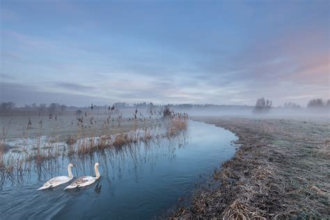 Bowthorpe Marsh One Of Four Images All Taken Within A Shor Flickr