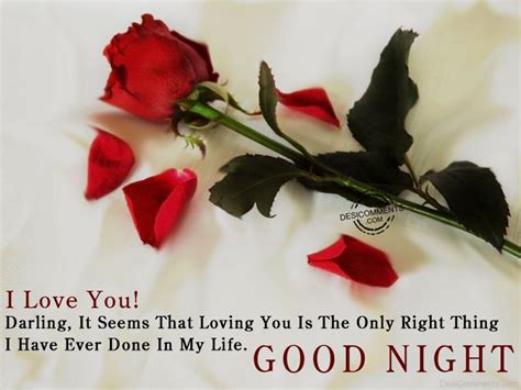 I Love You Good Night