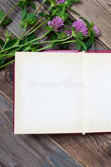 Top View of Open Book Photo Album with Clover Flowers Stock Image - Image of view, remember ...