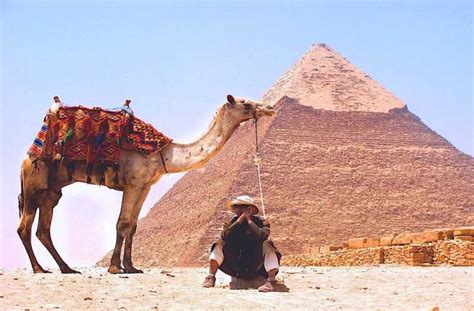 Sharm Al Shiekh Pyramidy V Gíze A Egyptské Muzeum S Obědem Getyourguide