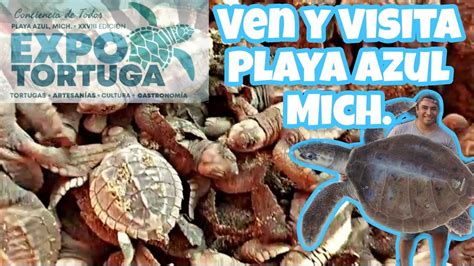 Expo Tortuga Visita Playa Azul Mich A Minutos De