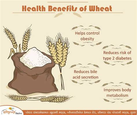 Benefits Of Wheat MQUBE Ng