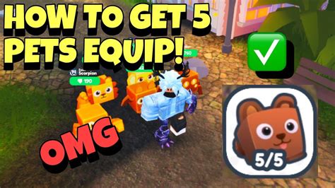 HOW TO GET 5 PETS EQUIP IN PET LEGACY YouTube