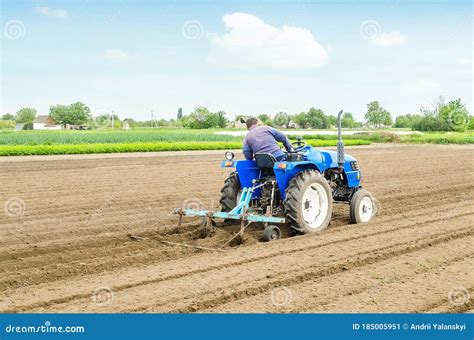 Farmer On A Tractor With A Cultivator Processes A Farm Field Soil