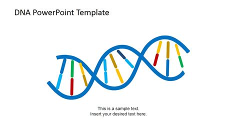 Dna Strands Powerpoint Template Slidemodel