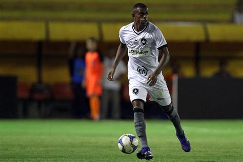 Jogadores do Botafogo iniciam tratamento de lesão em casa - Gazeta ...