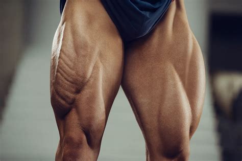 5 Best Quad Exercises For Guaranteed Bigger Muscular Quads