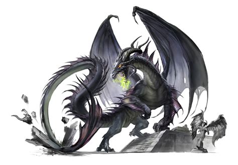 Black Dragon Smashing Stuff Pathfinder PFRPG DND D D D20 Fantasy