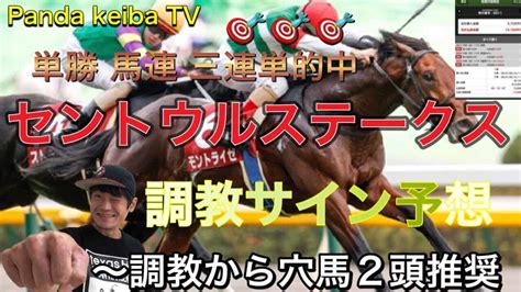 【セントウルステークス】2022 調教サイン予想〜パンダ競馬tv 競馬動画まとめ