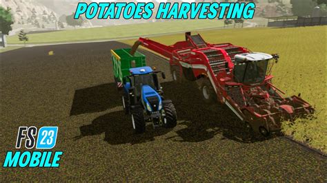 Potatoes Harvesting In Farming Simulator Mobile FS 23 Gameplay YouTube