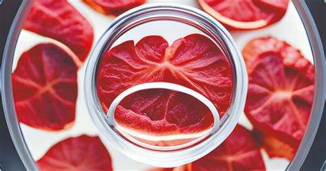 Why Lab Grown Food Is The Most Surprising Solution To Antibiotic