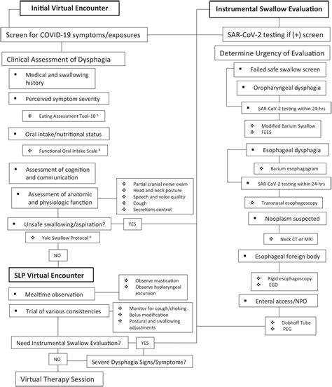 Virtual Dysphagia Evaluation Practical Guidelines For Dysphagia