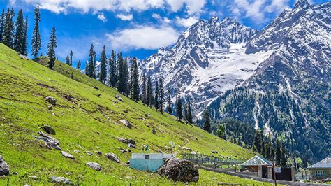 Kashmir Tour Package Srinagar Pahalgam Gulmarg Sonmarg Travelers