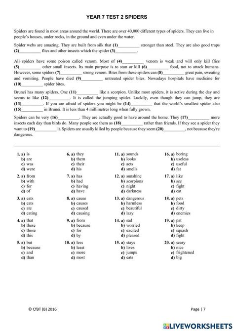 Year 7 Cloze Test 2 Spiders English Phrases Sentences Year 7