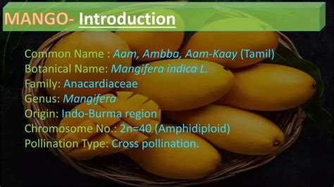 Mango Cultivation Practices PPT