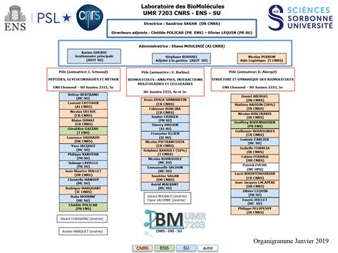 Organigramme De Recherche Des Ions Apprentissage Bank2home