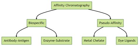 Affinity chromatography: Theory with Classification