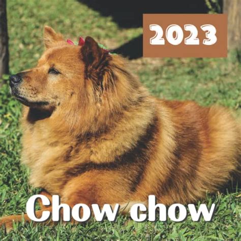 Chow Chowchow Chow Calendar 2023 Chow Chow Calendar 2023 12 Month