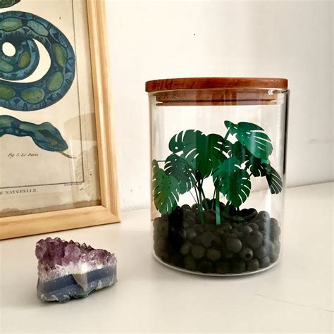 Toute Mini Monstera Deliciosa En Papier Paper Terrarium Terrarium