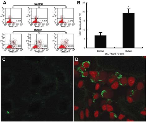 Reversal Effect Of Bufalin On Multidrug Resistance In Human