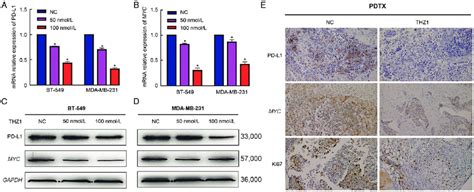 The Expression Of Pd L1 Was Suppressed By Thz1 Mrna A And B And