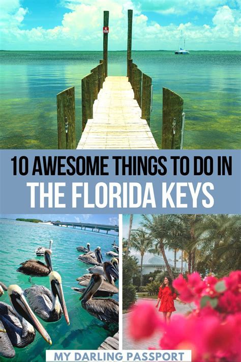 Things To Do In The Florida Keys Artofit