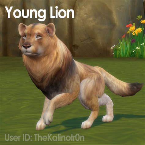 Young Lion Calf Skunk And Raccoon At Kalino • Sims 4 Updates Sims 4